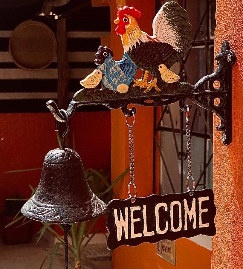 Montana Inn ワディ・ムーサ エクステリア 写真